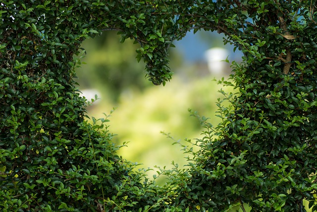 The joy of gardening: how to embrace outdoor space to maximise wellbeing