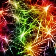 Embracing Neurodivergent Strengths: A Different Kind of Brilliance