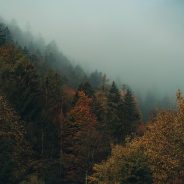 Seasonal affective disorder support programme expands across Scotland